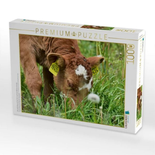 CALVENDO Puzzle Die weiße Blesse auf der Stirn macht das Kälbchen einmalig. | 1000 Teile Lege-Größe 64x48cm Foto-Puzzle für glückliche Stunden