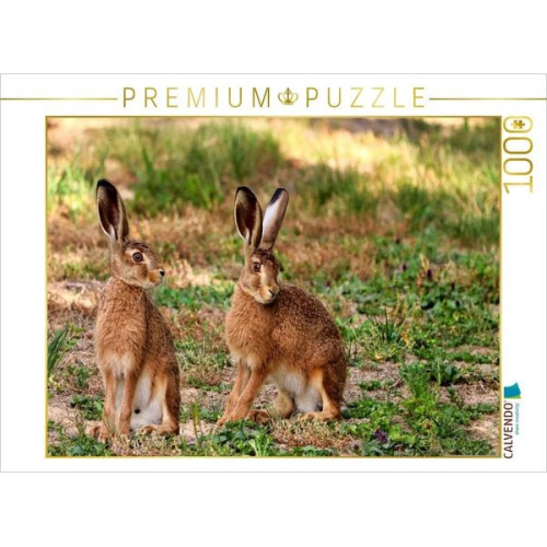 CALVENDO Puzzle Aufmerksame Feldhasen | 1000 Teile Lege-Größe 64x48cm Foto-Puzzle für glückliche Stunden
