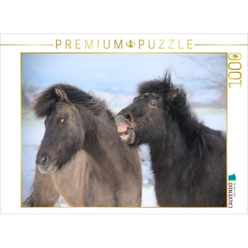 CALVENDO Puzzle Alberei | 1000 Teile Lege-Größe 64x48cm Foto-Puzzle für glückliche Stunden