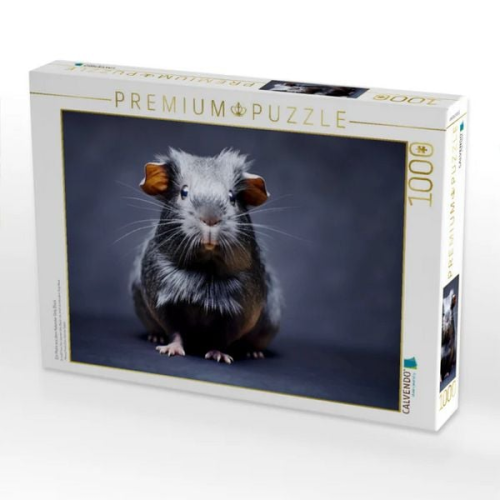 CALVENDO Puzzle Ein Motiv aus dem Kalender Only Black | 1000 Teile Lege-Größe 64x48cm Foto-Puzzle für glückliche Stunden