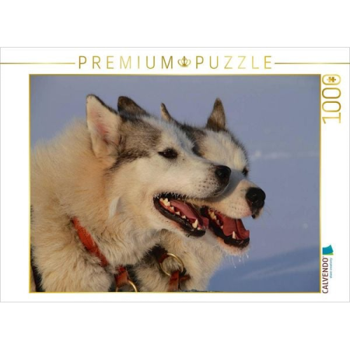 CALVENDO Puzzle Brüder | 1000 Teile Lege-Größe 64x48cm Foto-Puzzle für glückliche Stunden
