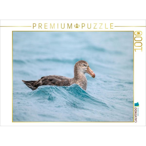 CALVENDO Puzzle Sturmvogel bei Salisbury Plain | 1000 Teile Lege-Größe 64x48cm Foto-Puzzle für glückliche Stunden