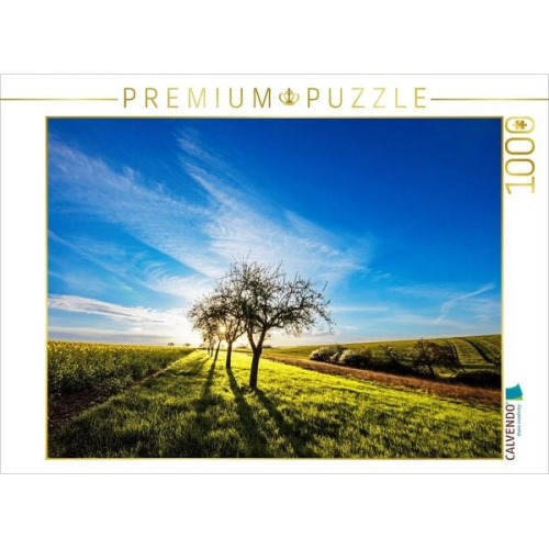CALVENDO Puzzle Ein Motiv aus dem Kalender Bunter Pfälzerwald | 1000 Teile Lege-Größe 64x48cm Foto-Puzzle für glückliche Stunden