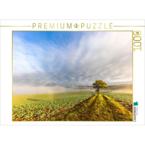 CALVENDO Puzzle Ein Motiv aus dem Kalender Bunter Pfälzerwald | 1000 Teile Lege-Größe 64x48cm Foto-Puzzle für glückliche Stunden