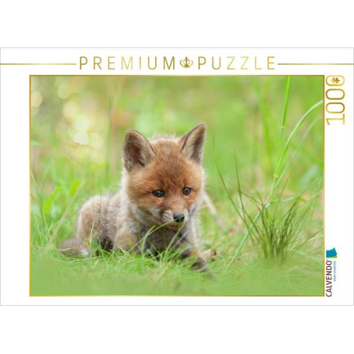 CALVENDO Puzzle Ein Motiv aus dem Kalender Füchse - zauberhafte Seelen | 1000 Teile Lege-Größe 64x48cm Foto-Puzzle für glückliche Stunden