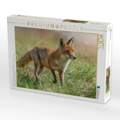 CALVENDO Puzzle Ein Motiv aus dem Kalender Füchse - zauberhafte Seelen | 1000 Teile Lege-Größe 64x48cm Foto-Puzzle für glückliche Stunden