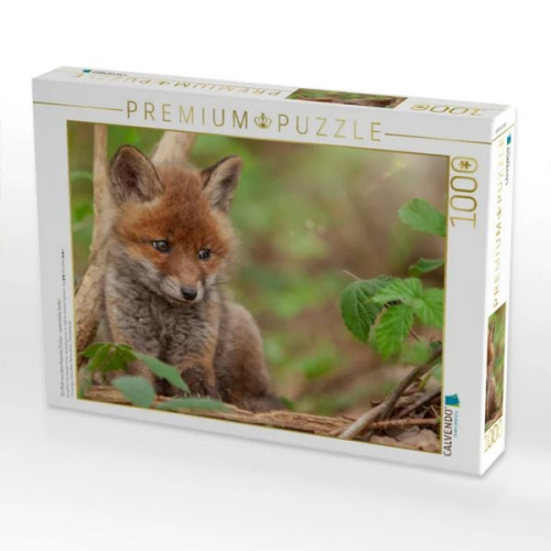 CALVENDO Puzzle Ein Motiv aus dem Kalender Füchse - zauberhafte Seelen | 1000 Teile Lege-Größe 64x48cm Foto-Puzzle für glückliche Stunden