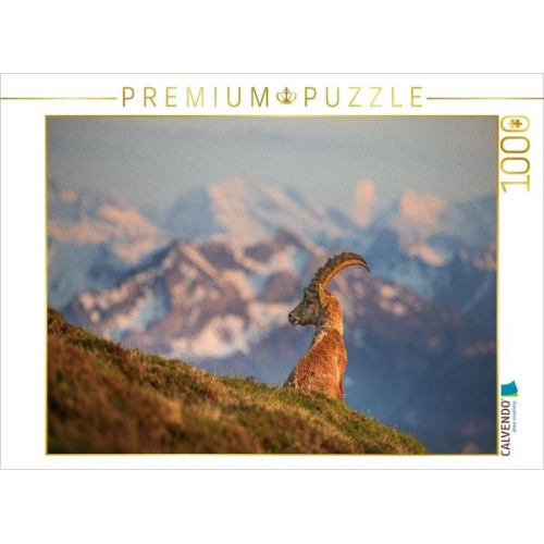 CALVENDO Puzzle Alpensteinbock | 1000 Teile Lege-Größe 64x48cm Foto-Puzzle für glückliche Stunden