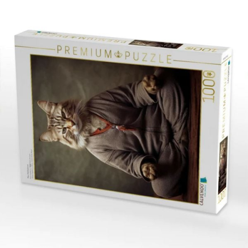 CALVENDO Puzzle Miau Meditationen | 1000 Teile Lege-Größe 64x48cm Foto-Puzzle für glückliche Stunden