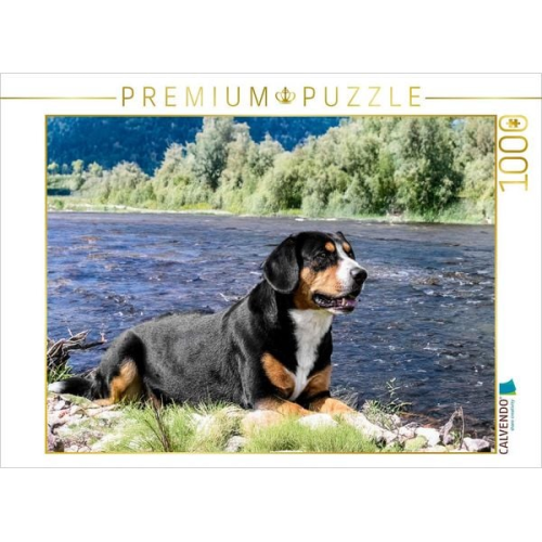 CALVENDO Puzzle Entlebucher Rüde am Fluss | 1000 Teile Lege-Größe 64x48cm Foto-Puzzle für glückliche Stunden