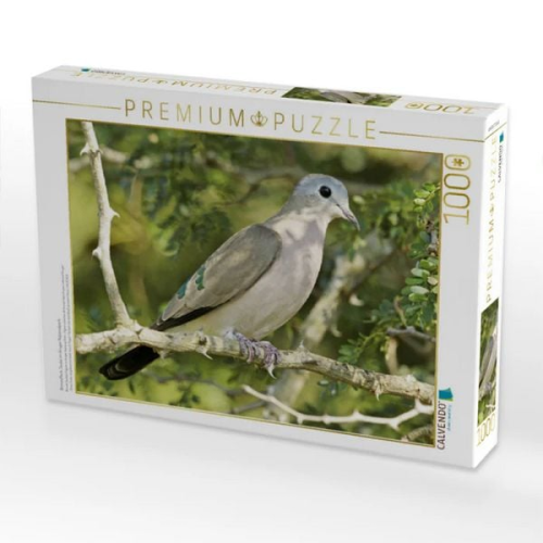 CALVENDO Puzzle Bronzefleck-Taube im Kruger Nationalpark | 1000 Teile Lege-Größe 64x48cm Foto-Puzzle für glückliche Stunden