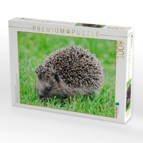 CALVENDO Puzzle Niedlich kleiner Igel läuft durch das Gras | 1000 Teile Lege-Größe 64x48cm Foto-Puzzle für glückliche Stunden