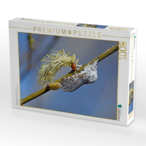 CALVENDO Puzzle Großer Gabelschwanz (Cerura vinula) | 1000 Teile Lege-Größe 64x48cm Foto-Puzzle für glückliche Stunden
