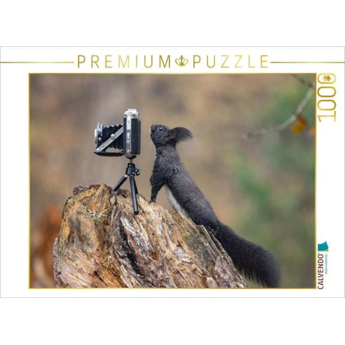 CALVENDO Puzzle Ein Motiv aus dem Kalender Oachkatzl | 1000 Teile Lege-Größe 64x48cm Foto-Puzzle für glückliche Stunden