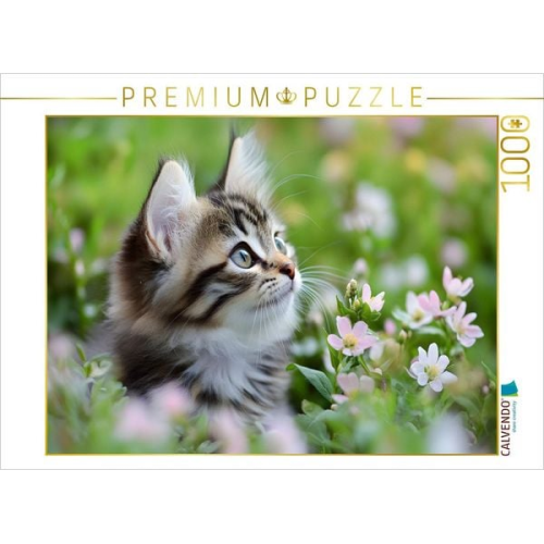 CALVENDO Puzzle Verträumte Katze in der Wiese | 1000 Teile Lege-Größe 64x48cm Foto-Puzzle für glückliche Stunden