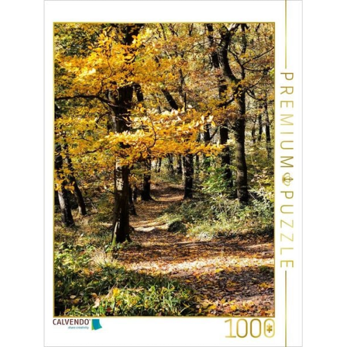 CALVENDO Puzzle Abstieg | 1000 Teile Lege-Größe 64x48cm Foto-Puzzle für glückliche Stunden