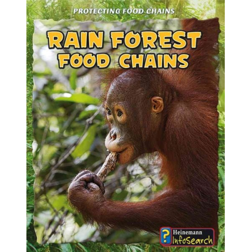 Heidi Moore - Rain Forest Food Chains