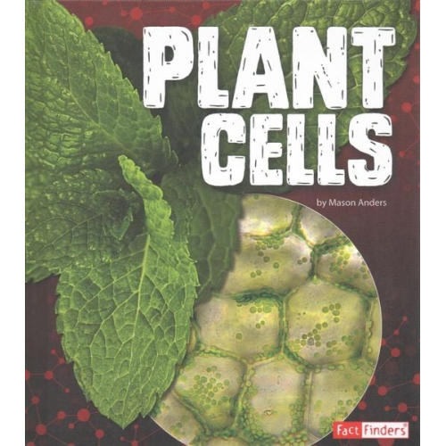 Mason Anders - Plant Cells