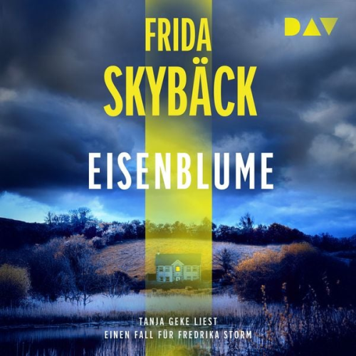 Frida Skybäck - Eisenblume. Ein Fall für Fredrika Storm