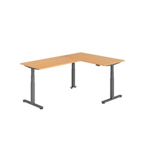 HAMMERBACHER XDSMW1616 elektrisch höhenverstellbarer Schreibtisch buche rechteckig, T-Fuß-Gestell grau 160,0 x 240,0 cm