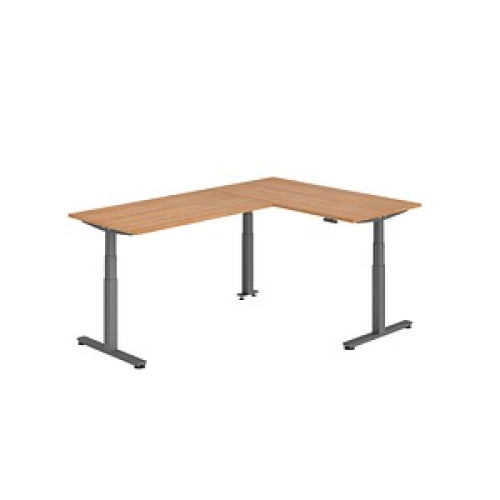 HAMMERBACHER XDSMW1616 elektrisch höhenverstellbarer Schreibtisch nussbaum rechteckig, T-Fuß-Gestell grau 160,0 x 240,0 cm