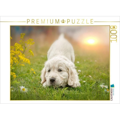 CALVENDO Puzzle Ein Motiv aus dem Kalender Golden Retriever... Herzenshunde | 1000 Teile Lege-Größe 64x48cm Foto-Puzzle für glückliche Stunden