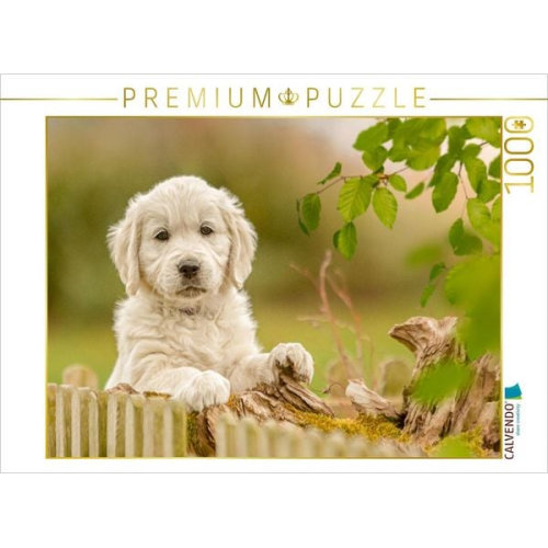 CALVENDO Puzzle Ein Motiv aus dem Kalender Golden Retriever... Herzenshunde | 1000 Teile Lege-Größe 64x48cm Foto-Puzzle für glückliche Stunden