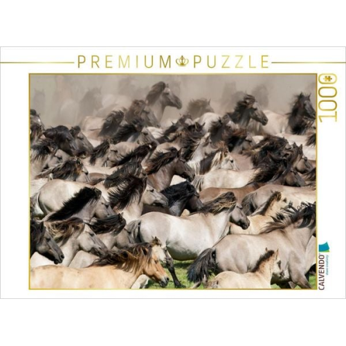 CALVENDO Puzzle Stutenherde beim Wildpferdefang | 1000 Teile Lege-Größe 64x48cm Foto-Puzzle für glückliche Stunden