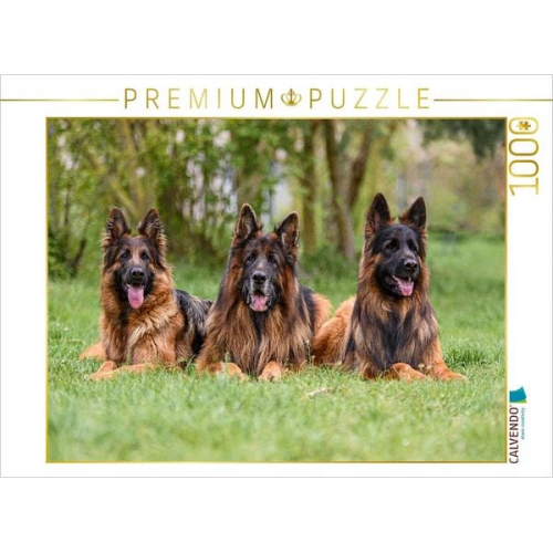 CALVENDO Puzzle Langstockhaar - Schäferhunde Trio | 1000 Teile Lege-Größe 64x48cm Foto-Puzzle für glückliche Stunden