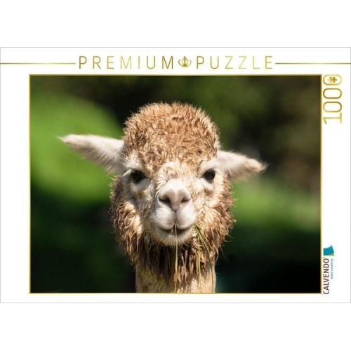CALVENDO Puzzle Alpaka | 1000 Teile Lege-Größe 64x48cm Foto-Puzzle für glückliche Stunden