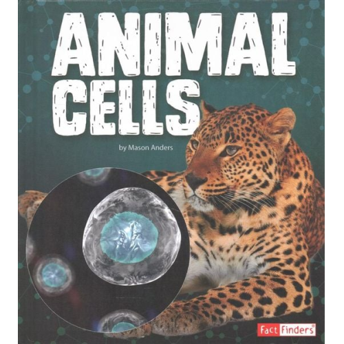 Mason Anders - Animal Cells