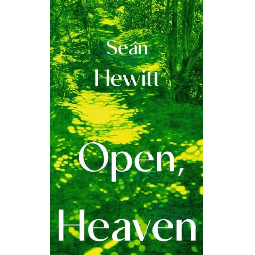 Seán Hewitt - Open, Heaven
