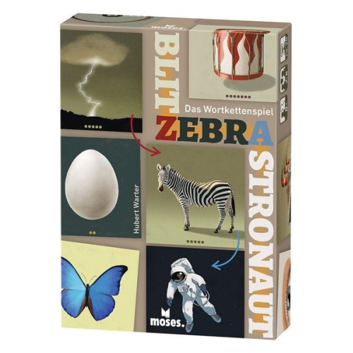 Blitz Zebra Astronaut