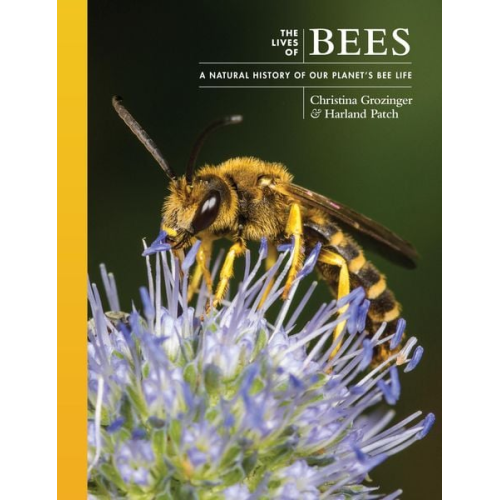 Christina Grozinger Harland Patch - The Lives of Bees