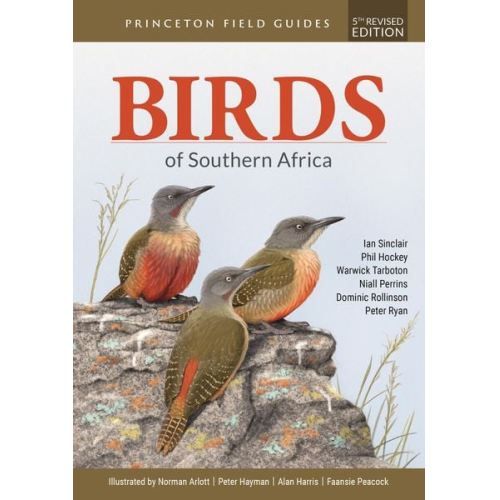 Ian Sinclair Phil Hockey Warwick Tarboton Niall Perrins Dominic Rollinson - Birds of Southern Africa