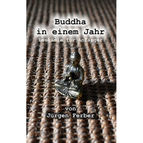 Jürgen Ferber - Buddha in einem Jahr
