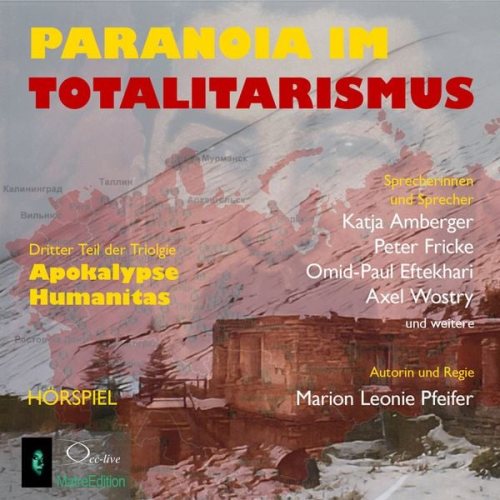Marion Leonie Pfeifer - Paranoia im Totalitarismus