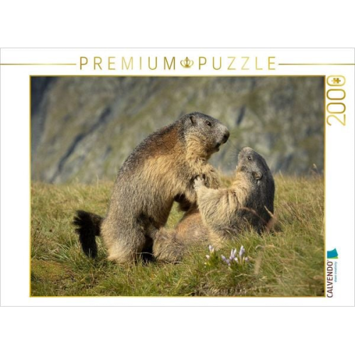 CALVENDO Puzzle Raufbolde | 2000 Teile Lege-Größe 90x67cm Foto-Puzzle für glückliche Stunden