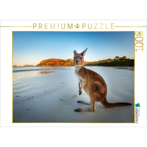 CALVENDO Puzzle Känguru | 1000 Teile Lege-Größe 64x48cm Foto-Puzzle für glückliche Stunden