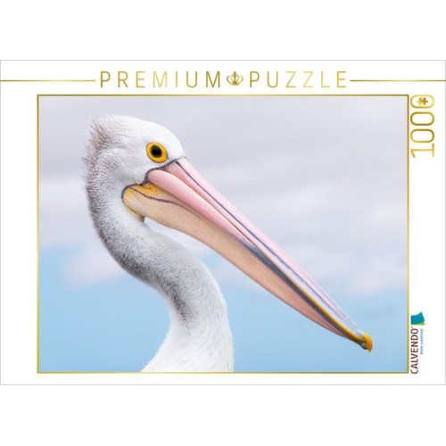 CALVENDO Puzzle Brillenpelikan | 1000 Teile Lege-Größe 64x48cm Foto-Puzzle für glückliche Stunden