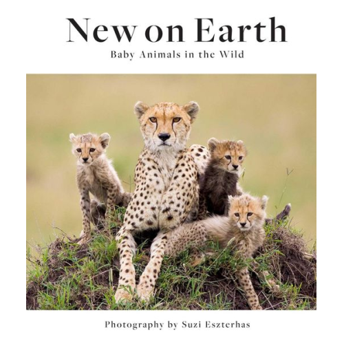 New on Earth
