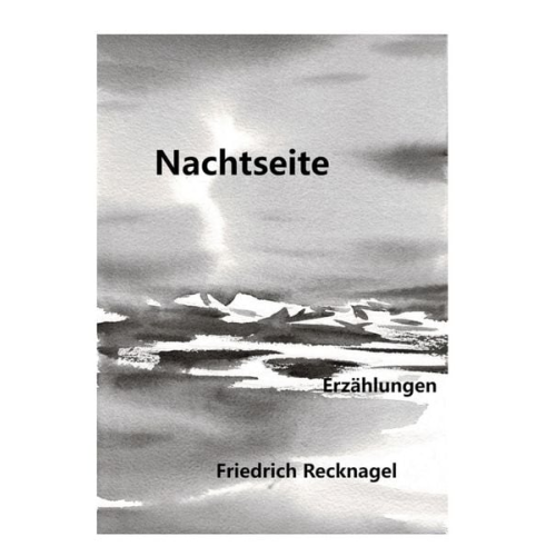 Friedrich Recknagel - Nachtseite