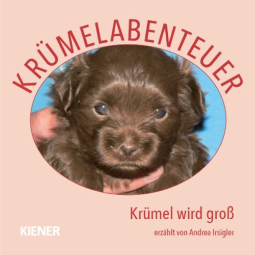 Andrea Irsigler - Krümelabenteuer