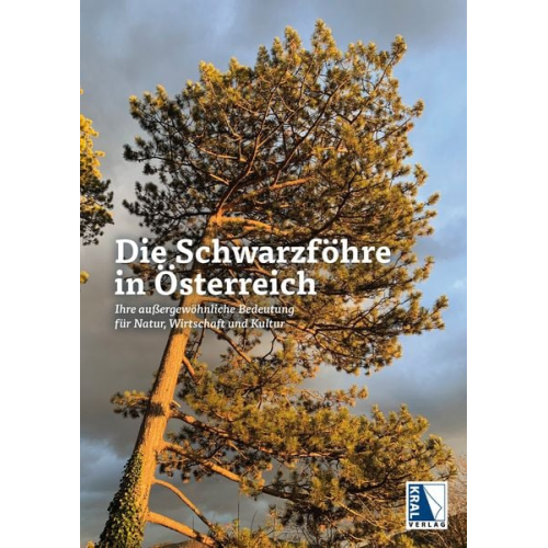 Die Schwarzföhre in Österreich
