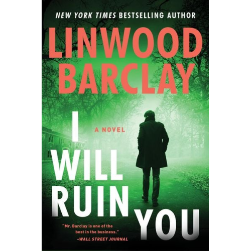 Linwood Barclay - I Will Ruin You