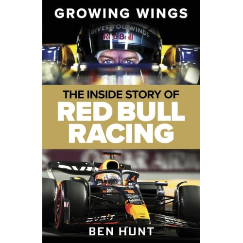 Ben Hunt - Growing Wings