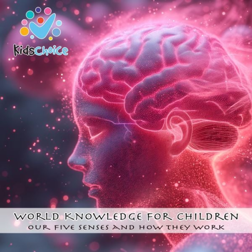 KidsChoice - Our five senses and how they work