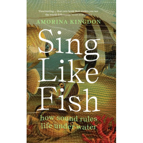 Amorina Kingdon - Sing Like Fish