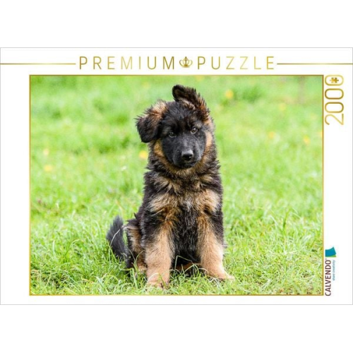 CALVENDO Puzzle Schäferhund - Welpe Hündin | 2000 Teile Lege-Größe 90x67cm Foto-Puzzle für glückliche Stunden
