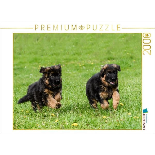 CALVENDO Puzzle Lauf um die Wette | 2000 Teile Lege-Größe 90x67cm Foto-Puzzle für glückliche Stunden